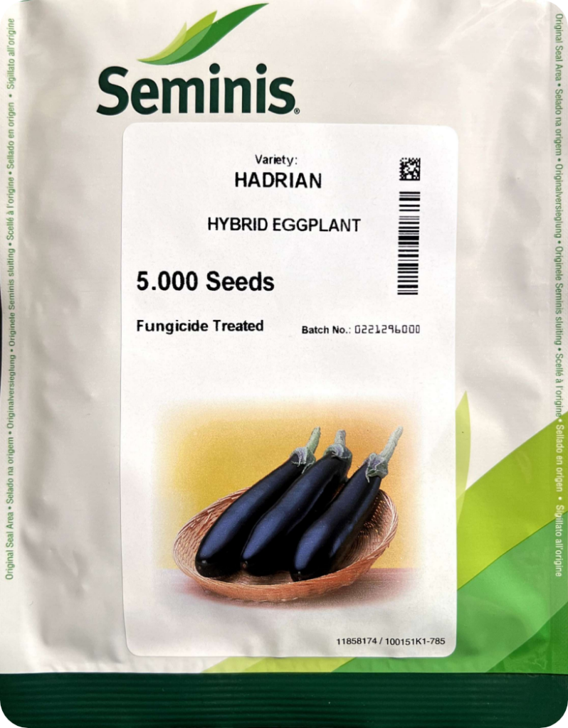 بذر بادنجان هادریان HADRIAN خرید بذر بادنجان هادریان هیبرید HADRIAN بذر بادنجان هادریان HADRIAN با طعم شیرین بذر بادنجان هادریان هندوانه مقاوم به بیماری HADRIAN بذر بادنجان هادریان برای گلخانه HADRIAN