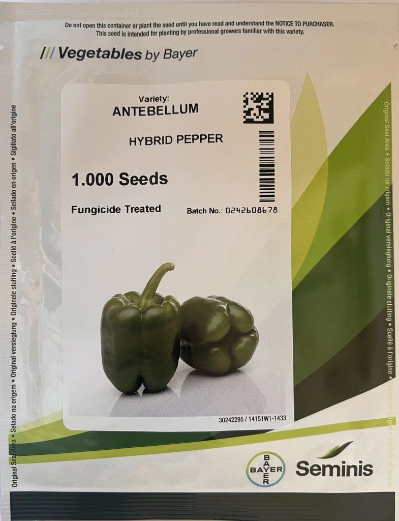 antebellum hybrid pepper فلفل هیبرید آنتابلوم