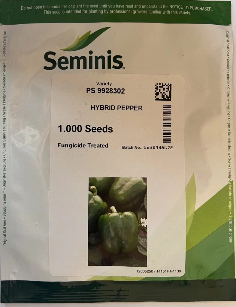 ps9928302 hybrid pepper فلفل هیبرید 302