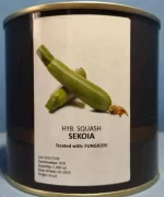 sekoia-بذر کدو خورشتی