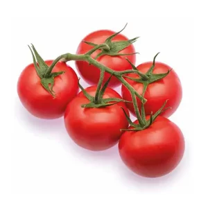 بذر گوجه