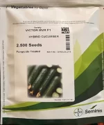 بذر خیار ویکتور -Victor MV F1