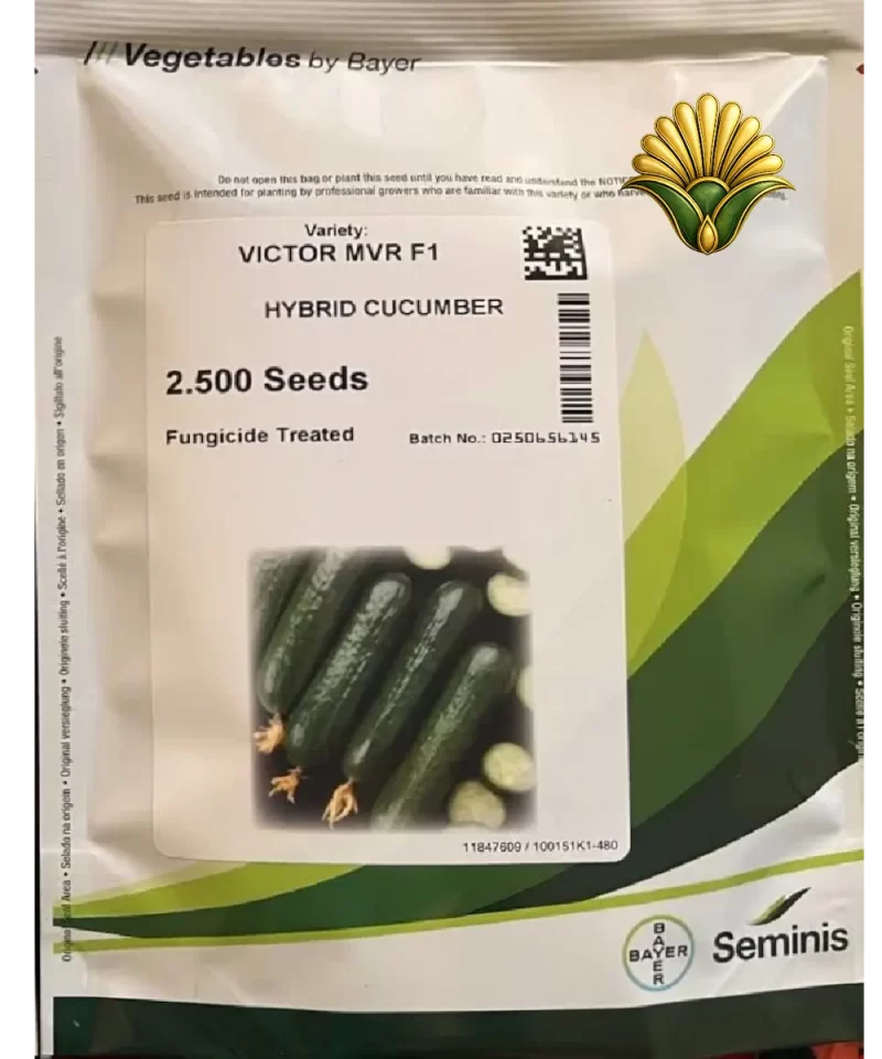 بذر خیار ویکتورVictor F1